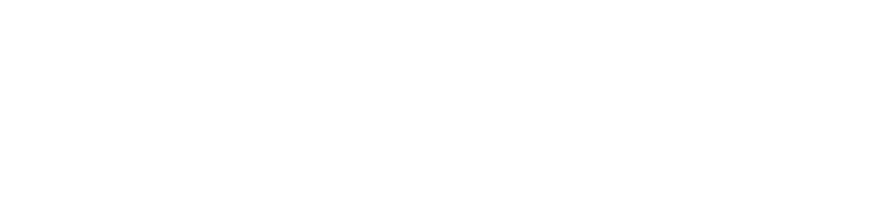 LoopX - Logo Site - White